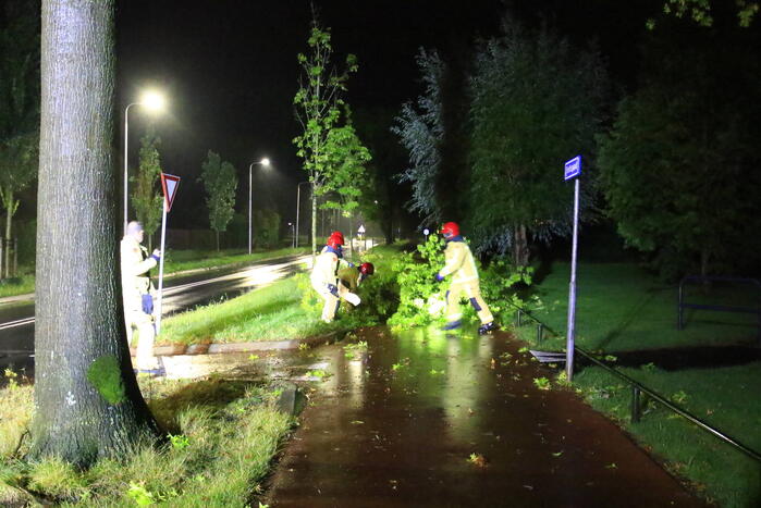 Brandweer verwijdert grote tak