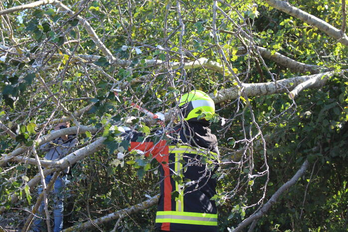Tak breekt af en valt over weg