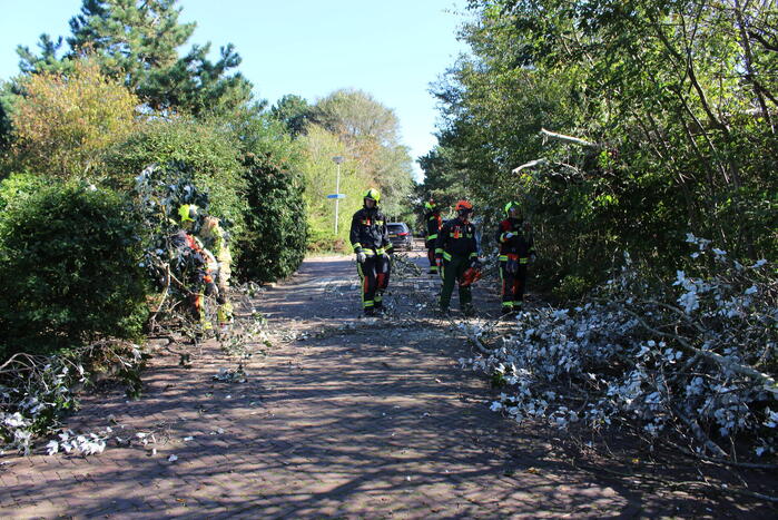 Tak breekt af en valt over weg