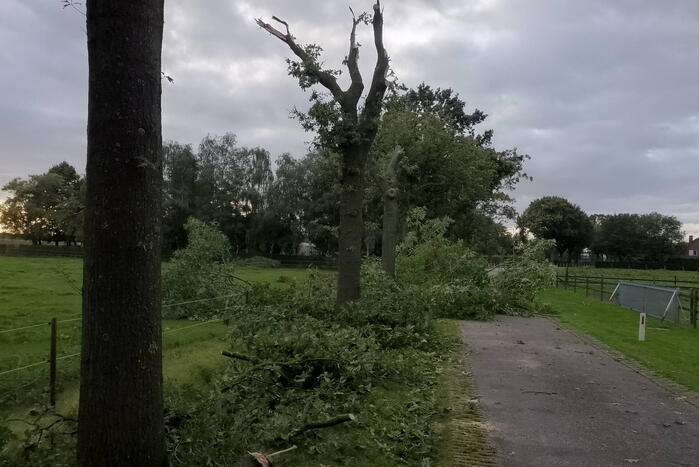 Woning zwaar beschadigd door rondvliegende takken