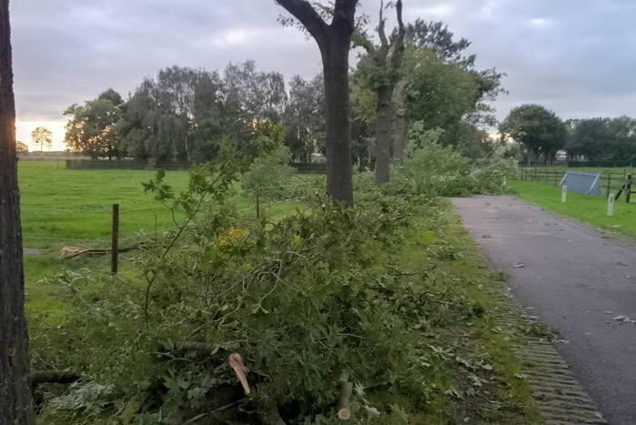 Woning zwaar beschadigd door rondvliegende takken