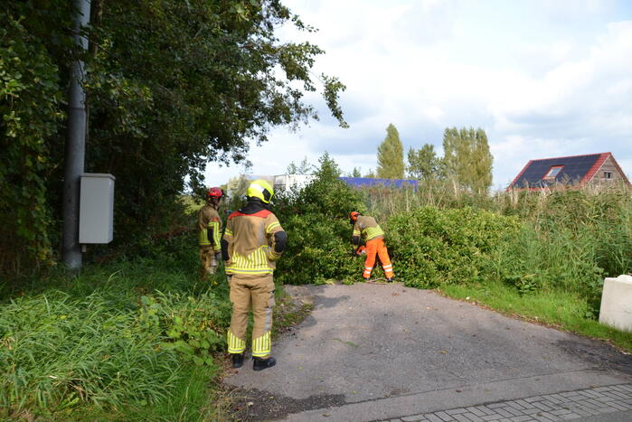 Gevaarlijk hangende boom verwijderd