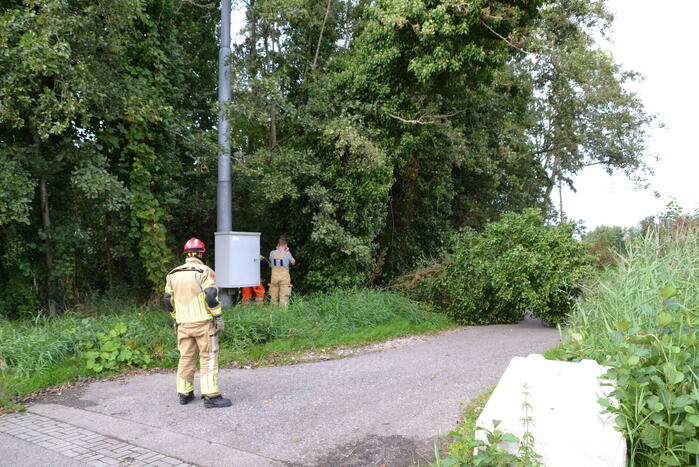 Gevaarlijk hangende boom verwijderd
