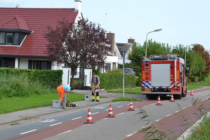 Gevaarlijk hangende boom verwijderd