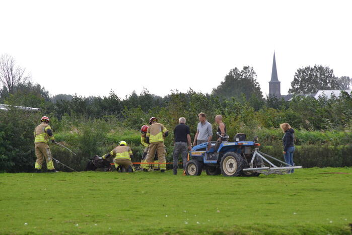 Brandweer ingezet voor te water geraakt paard