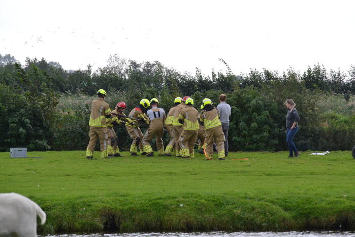 Brandweer ingezet voor te water geraakt paard