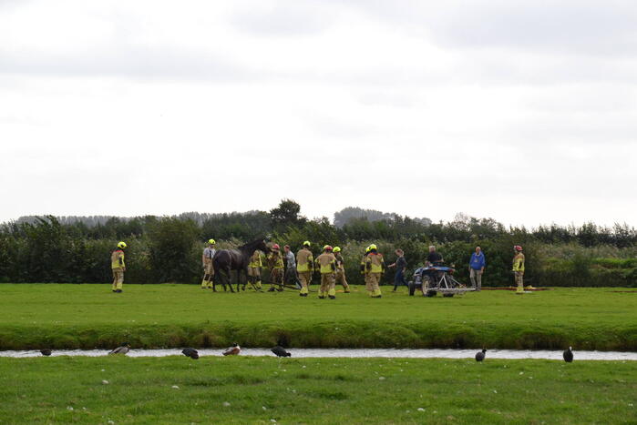 Brandweer ingezet voor te water geraakt paard