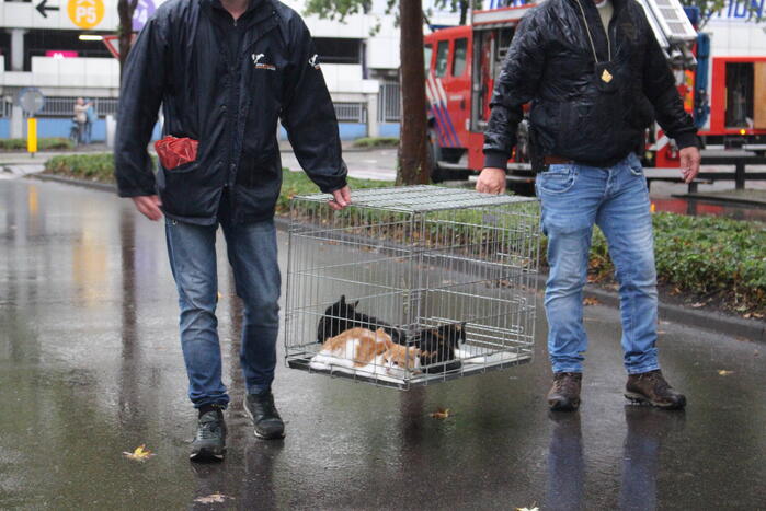 Wooncomplex voor ouderen ontruimd vanwege brand