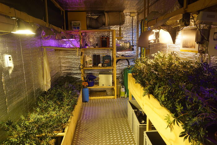 Levensechte hennepkwekerij in centrum