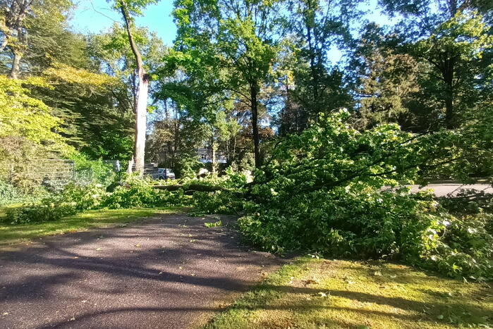 Brandweer ingezet voor afgebroken tak