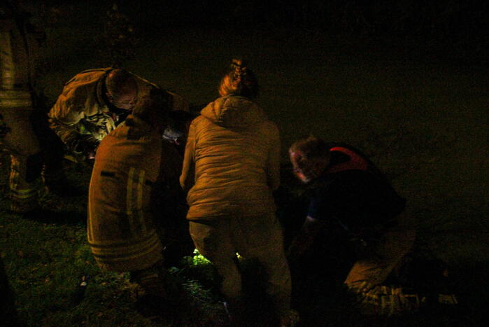 Hond door brandweer uit sloot gered