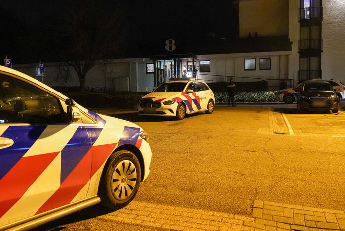 Grote politie-inzet bij massale vechtpartij