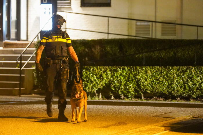 Grote politie-inzet bij massale vechtpartij