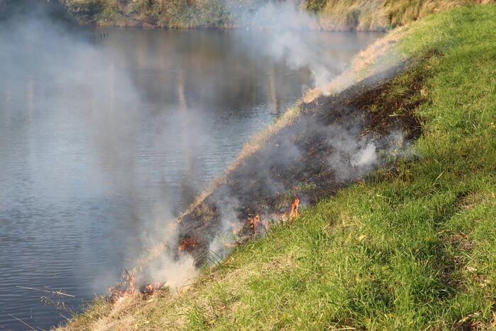 Gras in slootkant vat vlam