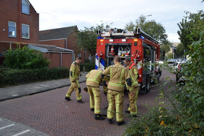 Kuiken vast in rioolput