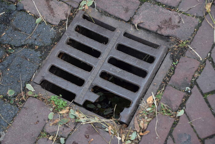 Kuiken vast in rioolput