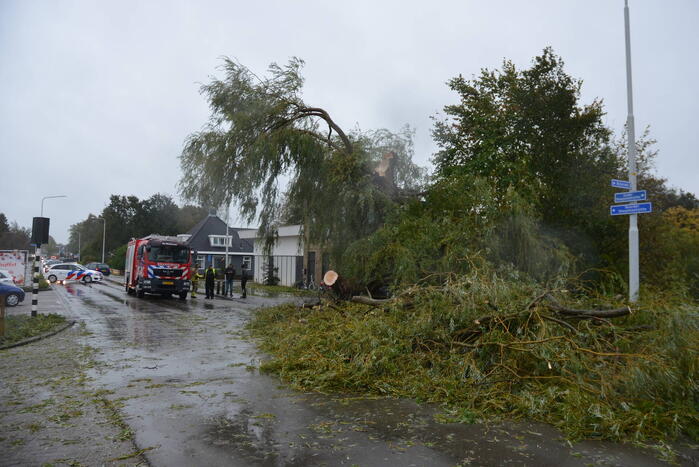 Fietser gewond na omvallen boom