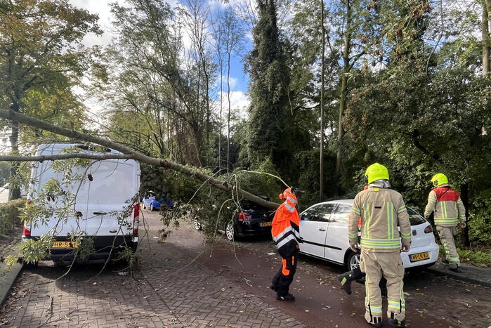 Auto beschadigd door omgevallen boom