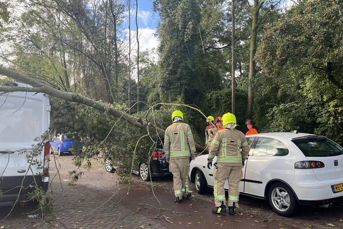Auto beschadigd door omgevallen boom