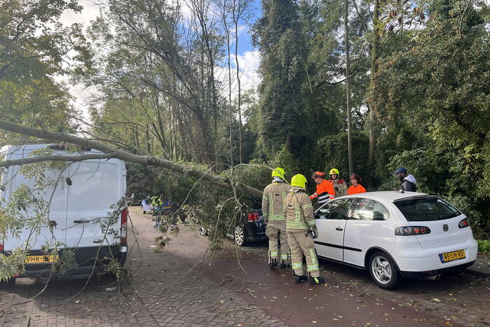 Auto beschadigd door omgevallen boom