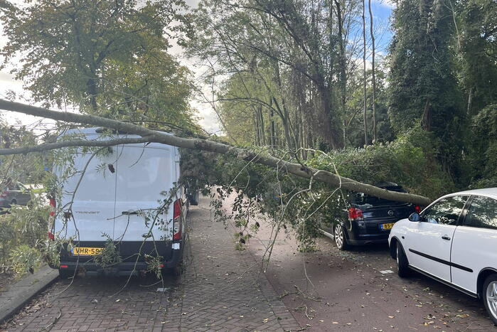 Auto beschadigd door omgevallen boom