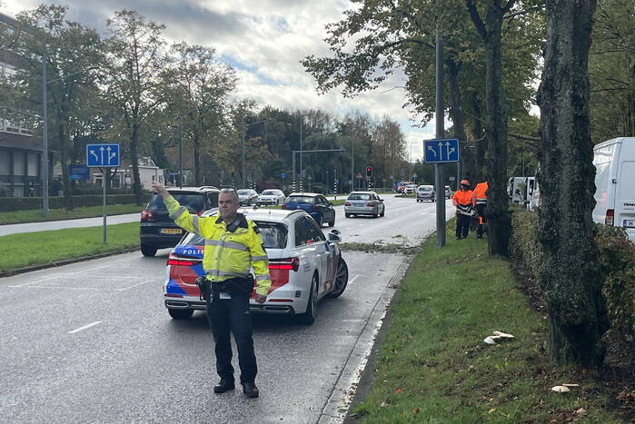 Auto beschadigd door omgevallen boom