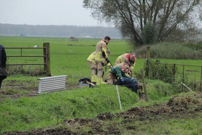 Brandweer en omstanders halen paard uit water