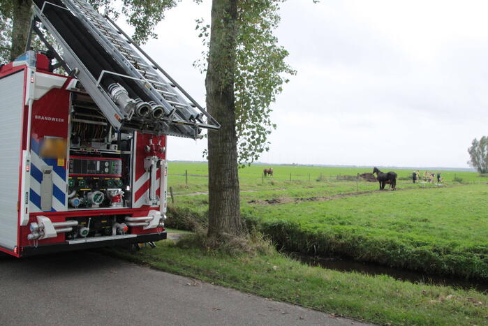 Brandweer en omstanders halen paard uit water