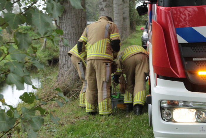 Brandweer en omstanders halen paard uit water