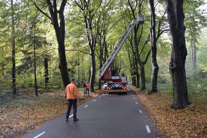 Brandweer ingezet voor loshangende tak