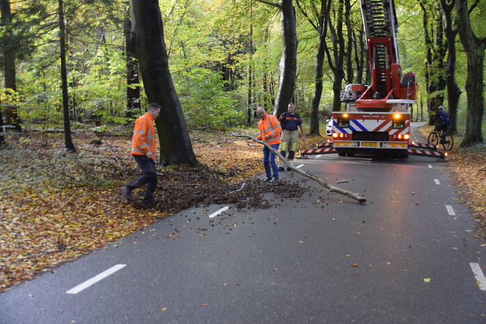 Brandweer ingezet voor loshangende tak