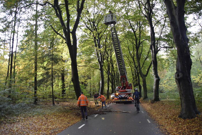 Brandweer ingezet voor loshangende tak
