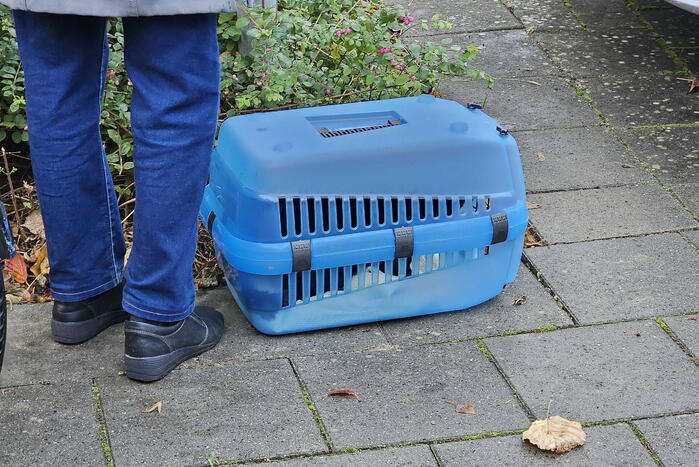 Wijk afgezet vanwege politieactie, explosieven opruimingsdienst opgeroepen