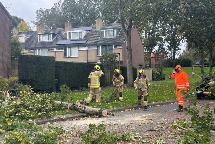 Brandweer zaagt omgevallen boom in stukken