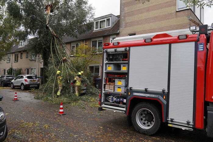 Grote loshangende tak komt boven op personenauto terecht
