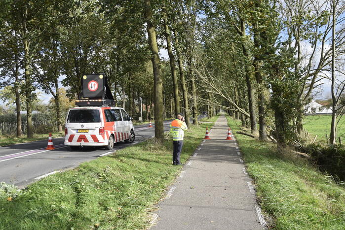 Meerdere bomen over de provinciale weg