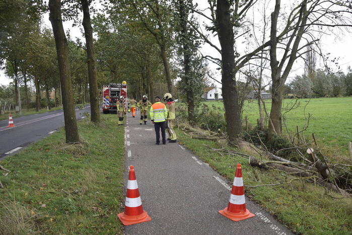 Meerdere bomen over de provinciale weg