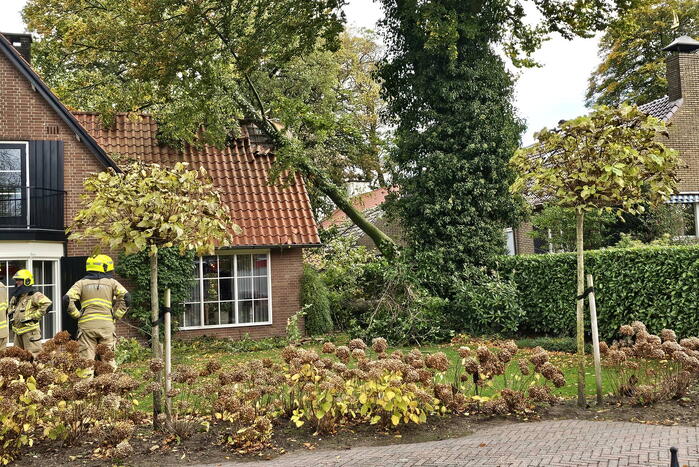 Forse schade aan woning door omgevallen boom