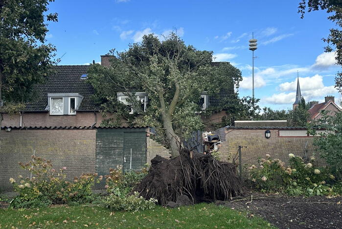 Fikse schade aan schuur door omvallende boom