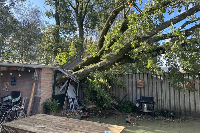 Fikse schade aan schuur door omvallende boom