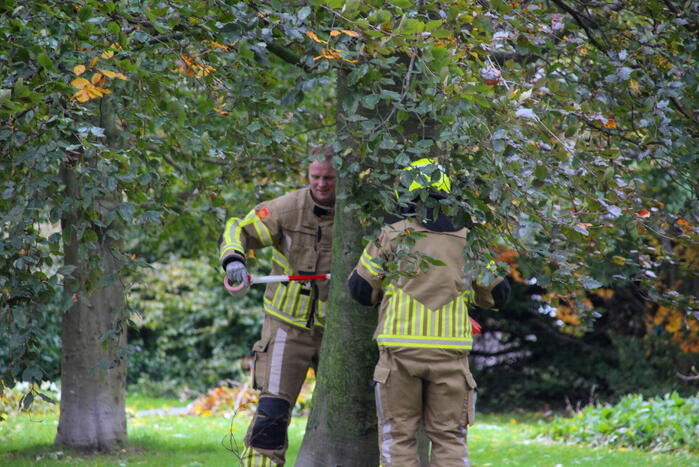 Omgeving afgezet door afgebroken tak