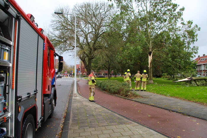 Omgeving afgezet door afgebroken tak