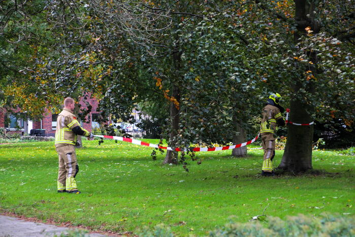 Omgeving afgezet door afgebroken tak