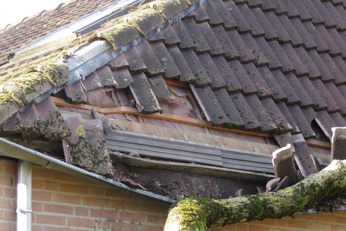 Omgewaaide boom beschadigd woning