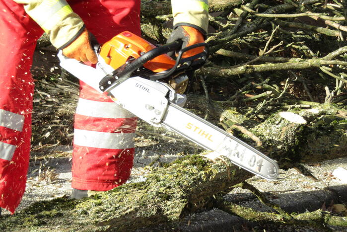 Omgewaaide boom beschadigd woning