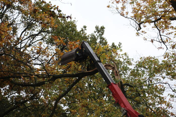 Weg gedeeltelijk dicht door gevaarlijk hangende tak