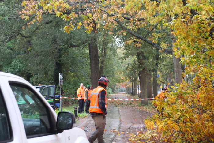 Weg gedeeltelijk dicht door gevaarlijk hangende tak