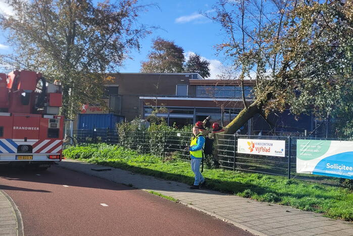 Hek beschadigd door omgevallen boom