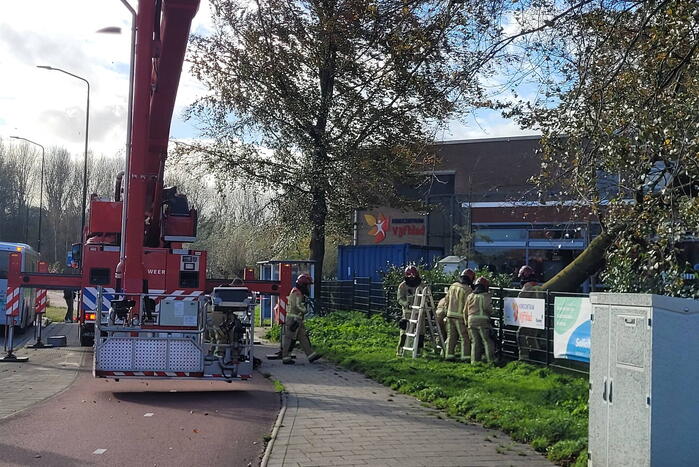 Hek beschadigd door omgevallen boom