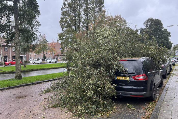 Omvallende boom beschadigd personenauto